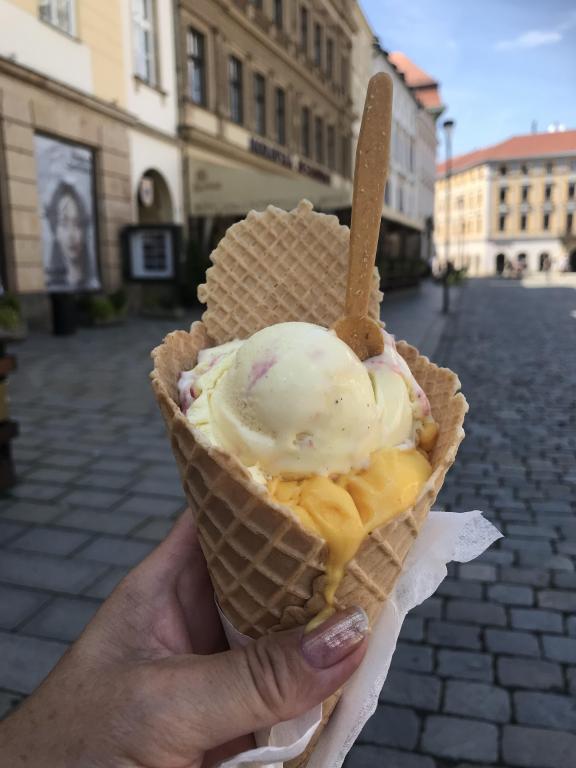 Poslední školní výlet se základkou, 18. 6. 2024