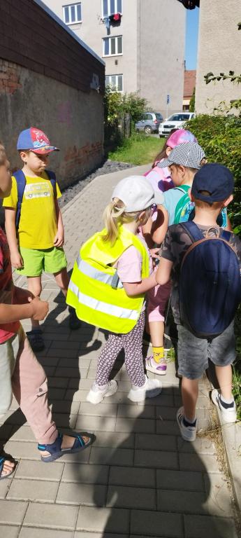 Šipkovaná po Skutči, 25. 6. 2024