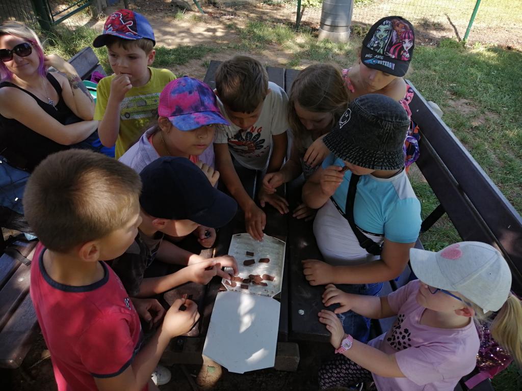 Šipkovaná po Skutči, 25. 6. 2024