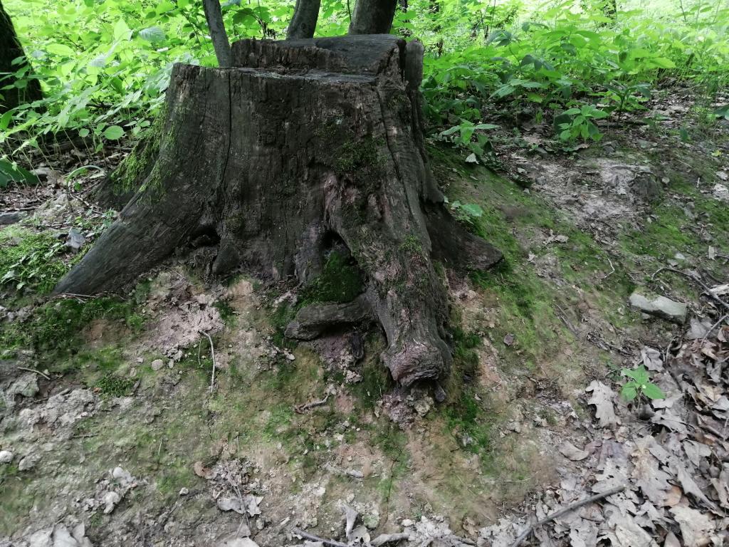 Školní výlet do Slatiňan - Kočičí hrádek, 17. 6. 2024