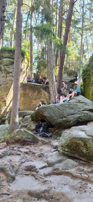 Školní výlet Toulovcovy maštale - 1. den, 25. 6. 2024