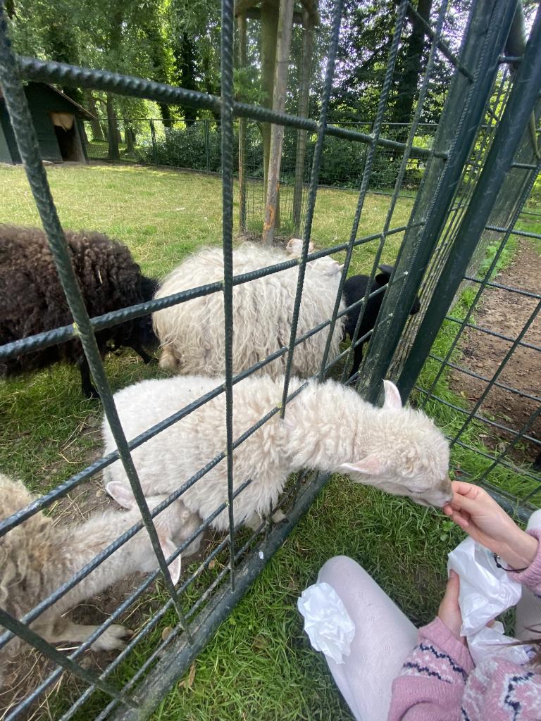 Výlet do Častolovic, 13. 6. 2024
