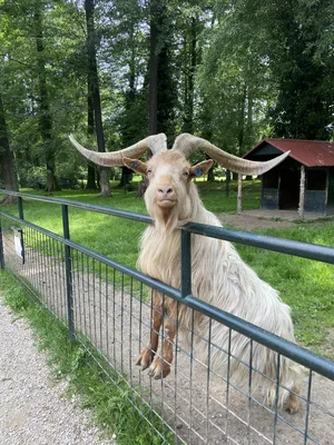 Výlet do Častolovic, 13. 6. 2024