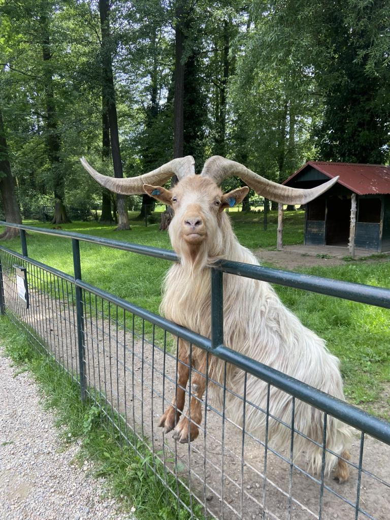 Výlet do Častolovic, 13. 6. 2024