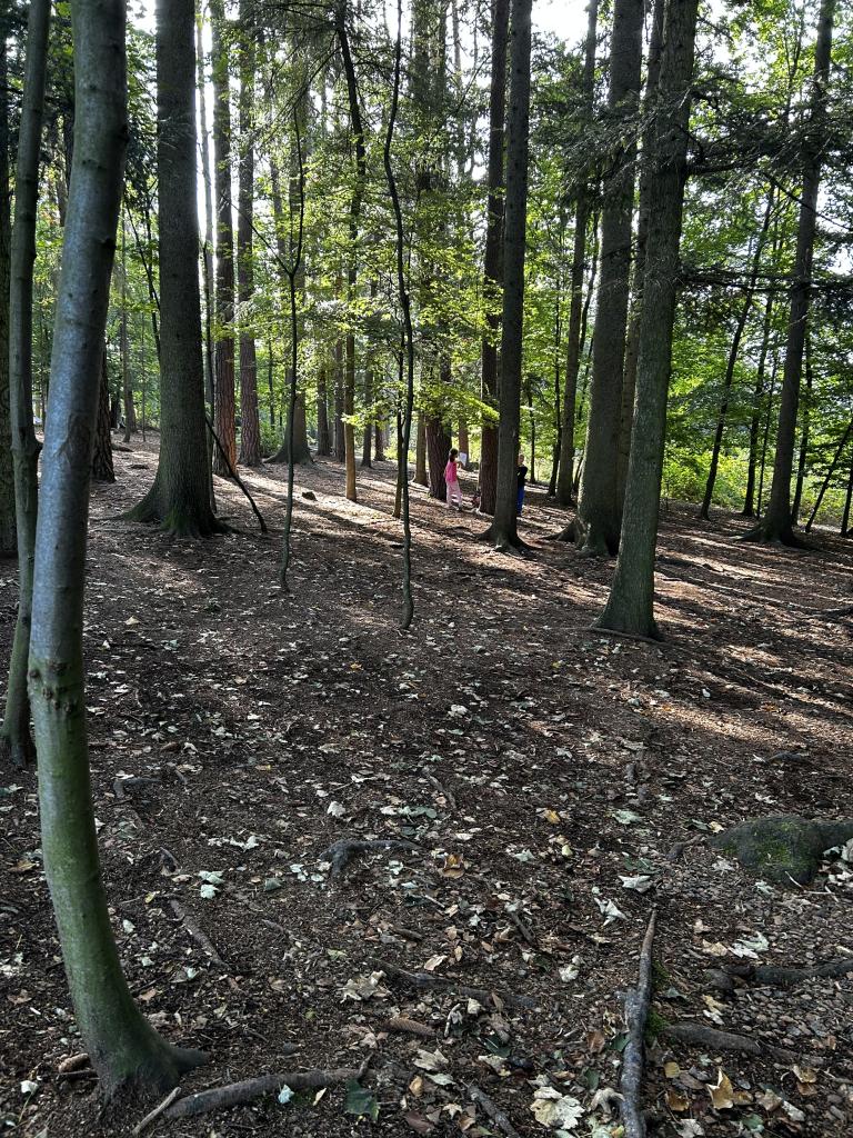 Pobyt v přírodě - den čtvrtý, 20. 9. 2024