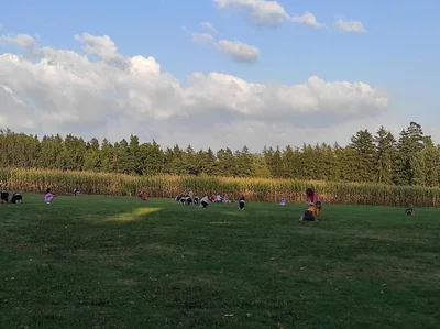 Pobyt v přírodě - den první, 17. 9. 2024