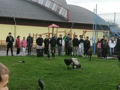 Dravci, 11. 10. 2024
