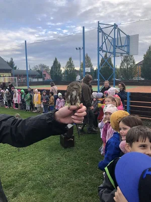 Dravci, 11. 10. 2024