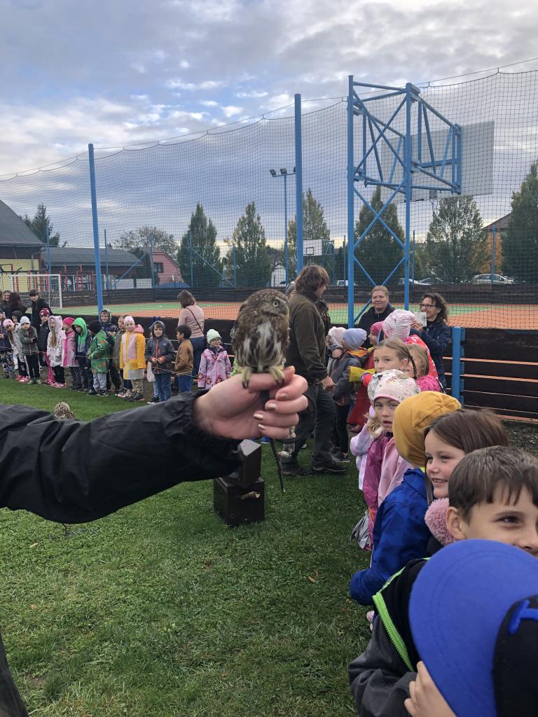 Dravci, 11. 10. 2024