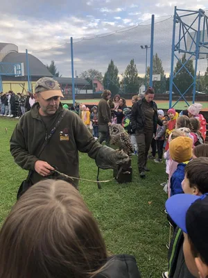 Dravci, 11. 10. 2024