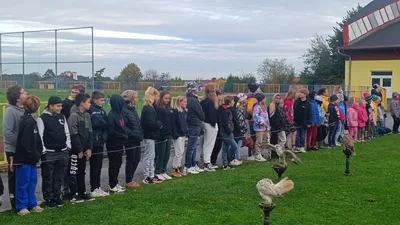 Dravci - výukový program s ukázkami  dravců, 11. 10. 2024