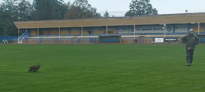 Letové ukázky s dravci, 11. 10. 2024