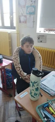 Náš svět - Projekt prales, 17. 10. 2024