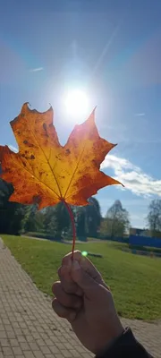 Sedmý týden ve školní družině., 18. 10. 2024