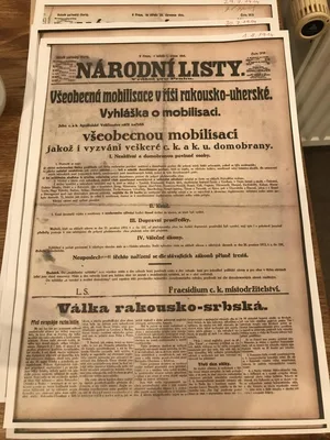 Výstava v městském muzeu o dopadech 1. světové války na obyvatele našeho města, 21. 10. 2024
