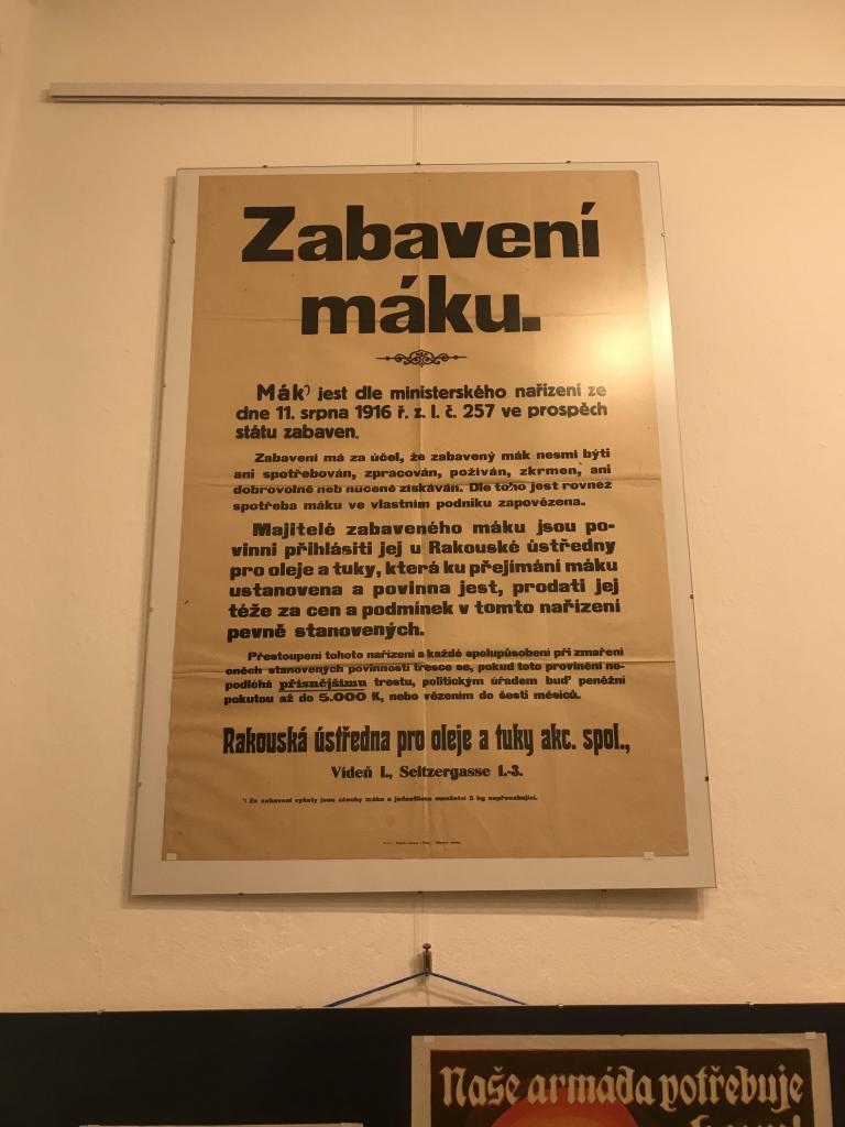 Výstava v městském muzeu o dopadech 1. světové války na obyvatele našeho města, 21. 10. 2024