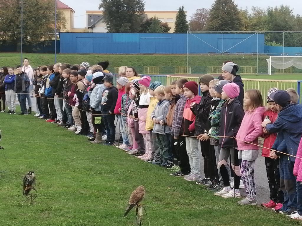 Výukový program Dravci, 11. 10. 2024
