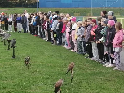 Výukový program Dravci, 11. 10. 2024
