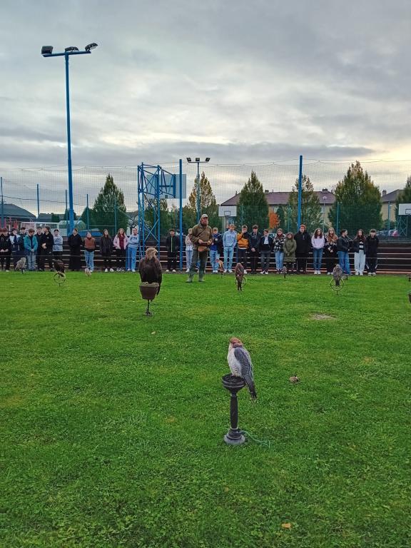 Výukový program Dravci, 11. 10. 2024