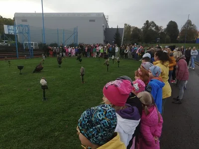 Výukový program Dravci, 11. 10. 2024