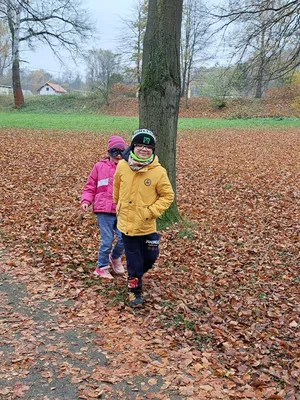 Jedenáctý týden ve školní družině, 15. 11. 2024