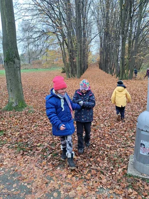 Jedenáctý týden ve školní družině, 15. 11. 2024