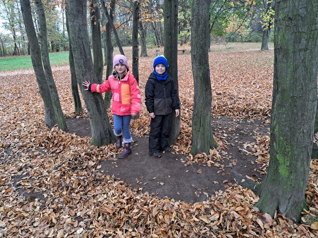 Jedenáctý týden ve školní družině, 15. 11. 2024