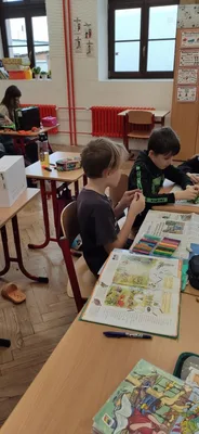 Náš svět: Projekt ekosystémy -les, pole, rybník, louka, domácí obydlí, 21. 11. 2024