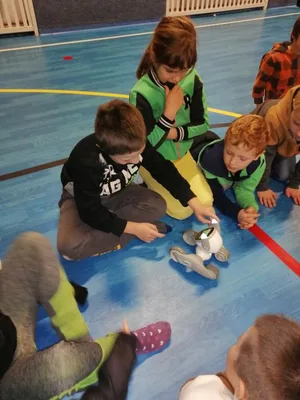 Projektová hodina s AI roboty, 28. 11. 2024