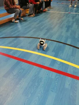 Projektová hodina s AI roboty, 28. 11. 2024