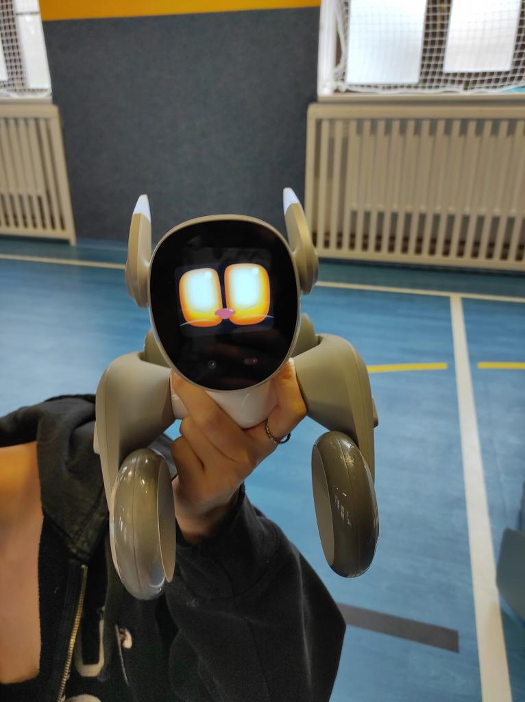 Projektová hodina s AI roboty, 28. 11. 2024