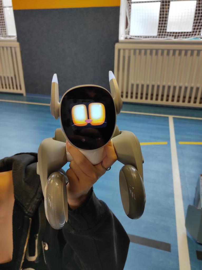 Projektová hodina s AI roboty, 28. 11. 2024