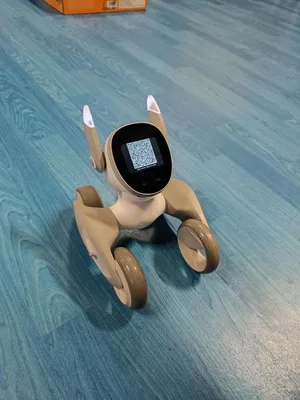 Projektová hodina s AI roboty, 28. 11. 2024