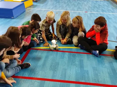 Projektová hodina s AI roboty, 28. 11. 2024