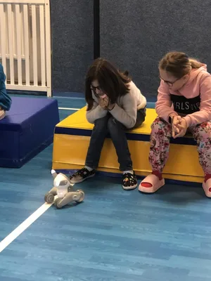 Roboti - to by se asi pan  Čapek divil…, 28. 11. 2024