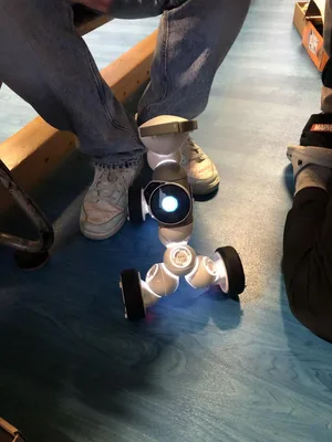 Roboti - to by se asi pan  Čapek divil…, 28. 11. 2024