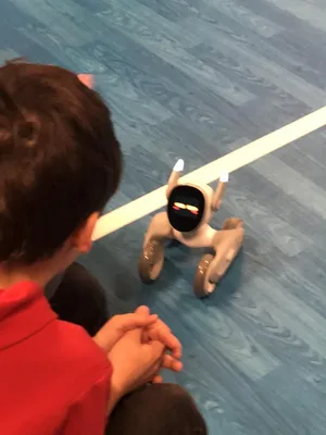 Roboti - to by se asi pan  Čapek divil…, 28. 11. 2024