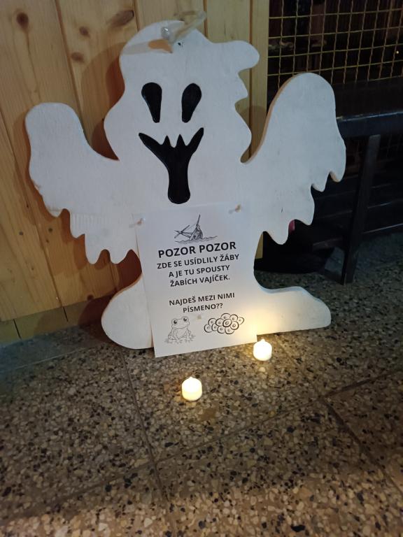 Stezka vrakem lodi, 8. 11. 2024