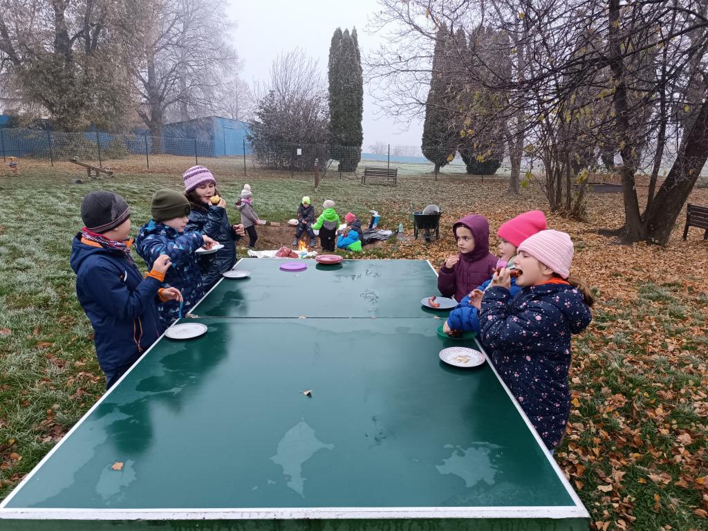 Věda není nuda, 11. 11. 2024