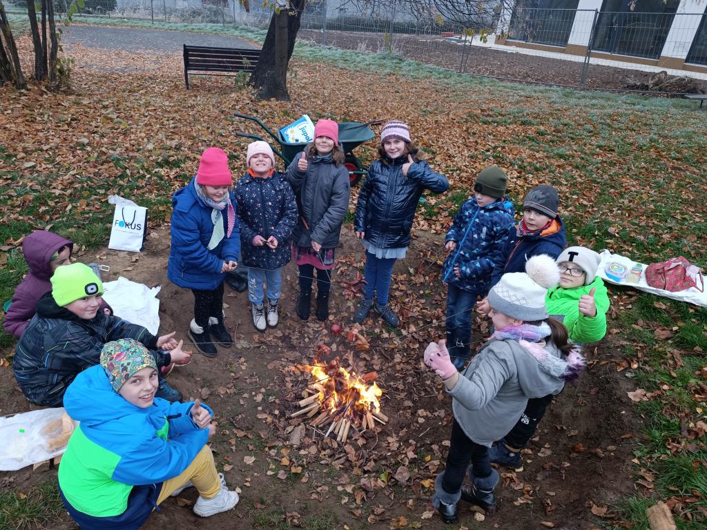 Věda není nuda, 11. 11. 2024