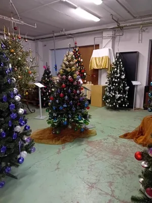 Exkurze do výrobny vánočních ozdob Koulier, 11. 12. 2024