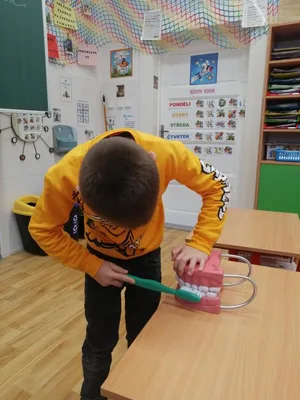 Náš svět - zdravý chrup a správná péče o něj, 16. 1. 2025