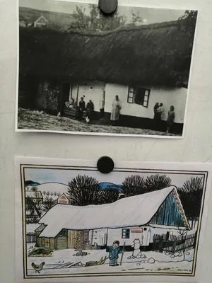 Návštěva knihovny, 20. 1. 2025