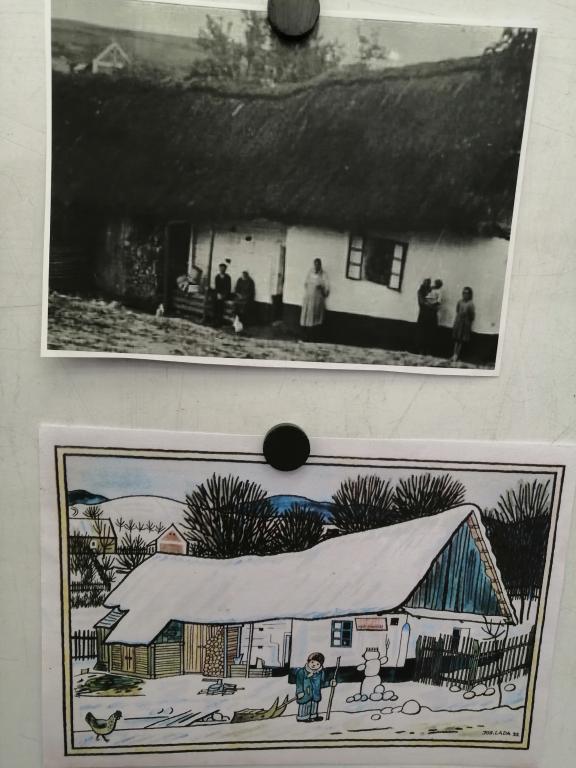 Návštěva knihovny, 20. 1. 2025