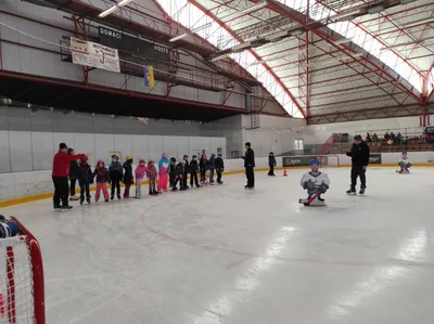 Školní zimní olympijské hry, 29. 1. 2025