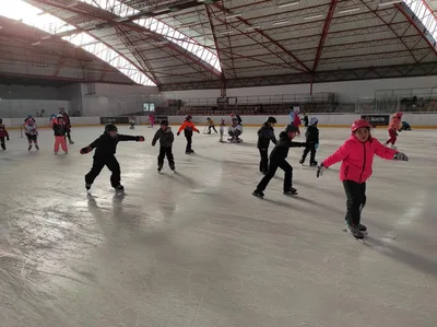 Školní zimní olympijské hry, 29. 1. 2025