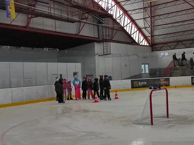 Školní zimní olympijské hry, 29. 1. 2025