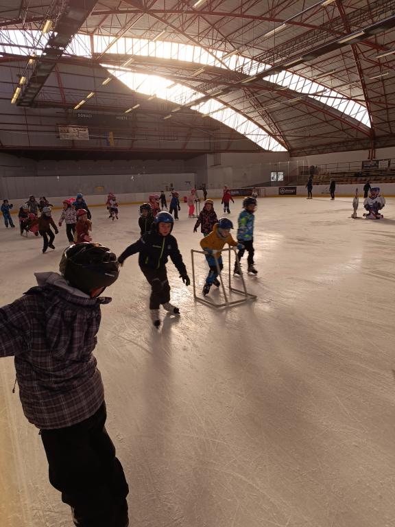 Školní zimní olympijské hry na ledě 2025, 29. 1. 2025