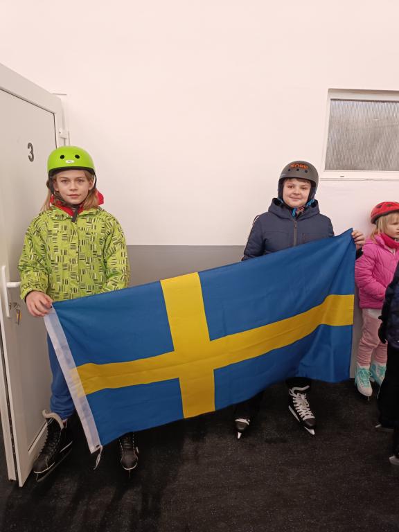 Školní zimní olympijské hry na ledě 2025, 29. 1. 2025
