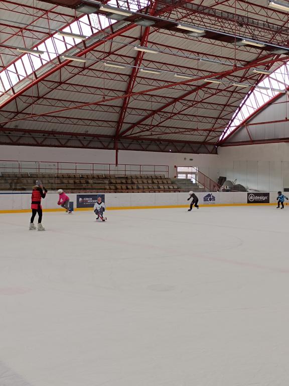 Školní zimní olympijské hry na ledě 2025, 29. 1. 2025